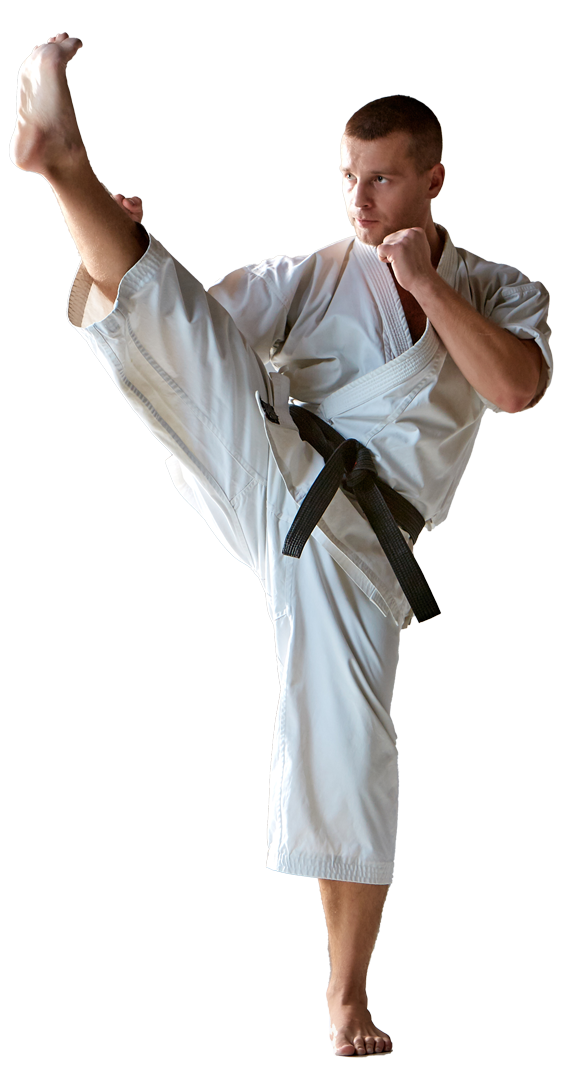 12 martial arts