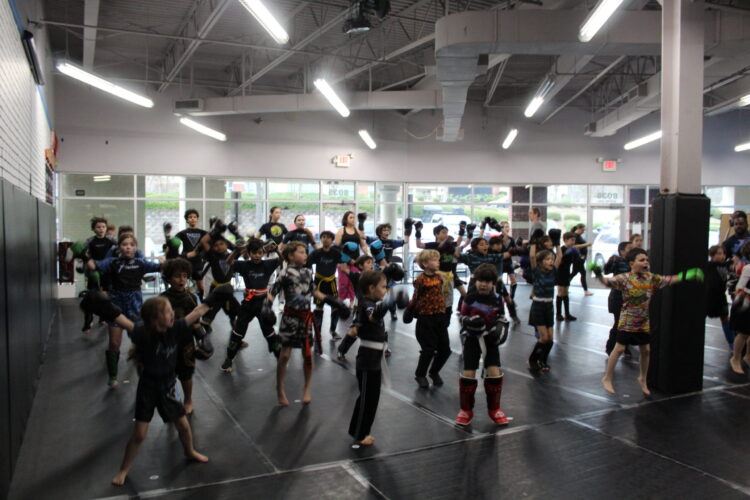 fuzion martial arts